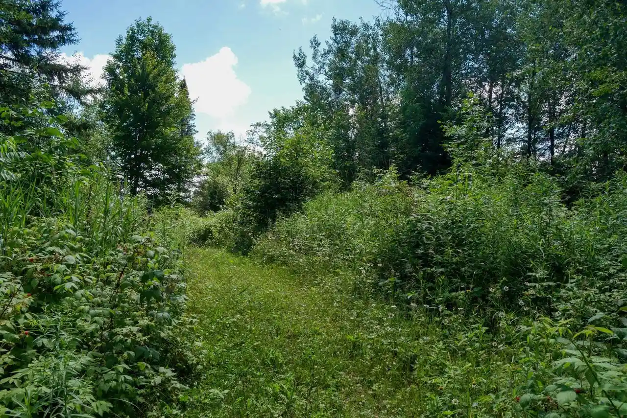 5th image of N7541 Fischer Creek Road Road, Westboro, WI 54490 | MLS# 22603256