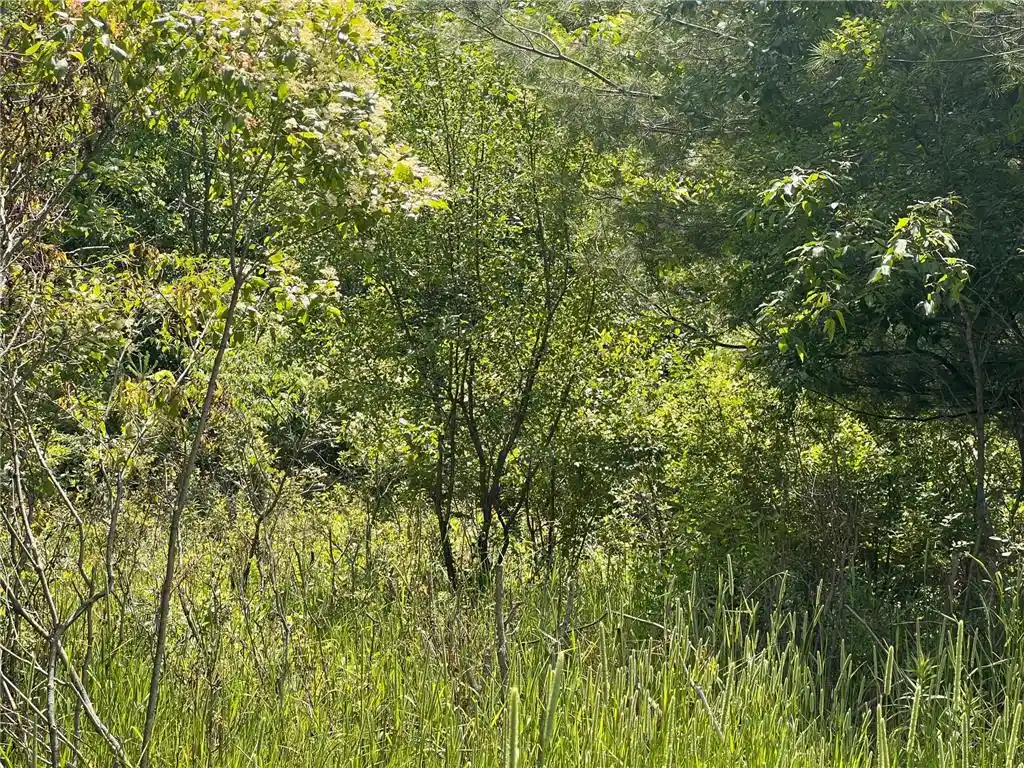 2nd image of 132 90th Avenue Avenue, Clayton, WI 54004 | MLS# 7108856