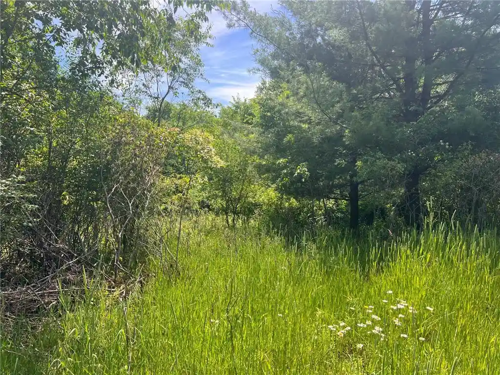 22nd image of 132 90th Avenue Avenue, Clayton, WI 54004 | MLS# 7108856