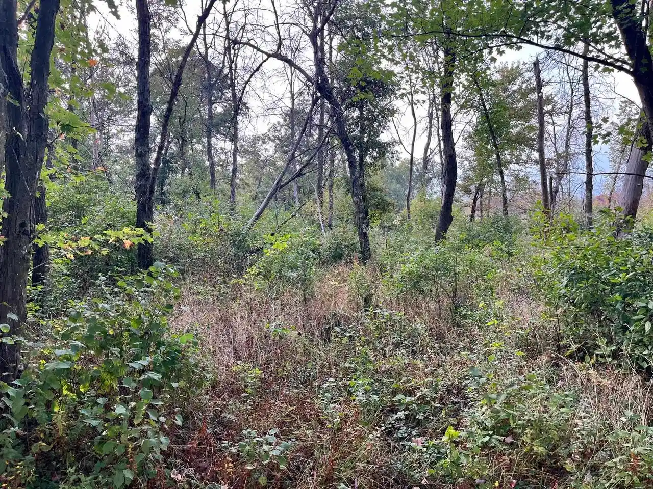 2nd image of 1193 Beaver Avenue Avenue, Nekoosa, WI 54457 | MLS# 2027967