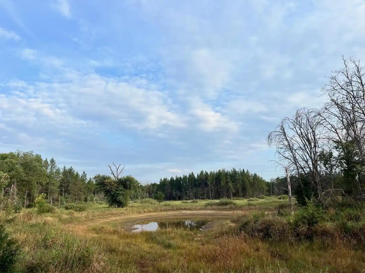 Photo 4 of Land for sale at 1193 Beaver Avenue Avenue, Nekoosa, WI 54457 | MLS# 2027967 | Listing updated on 2026-08-17