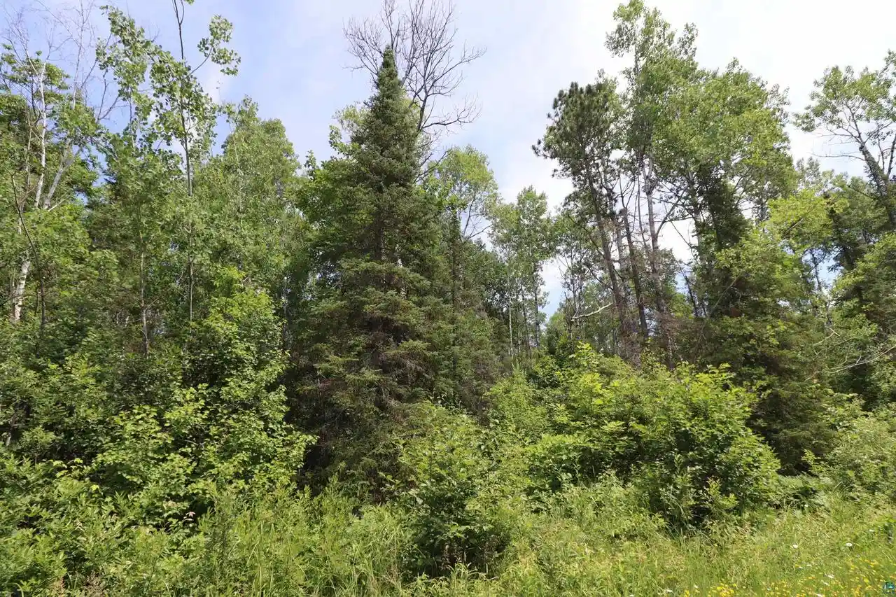 3rd image of Lot 2 Campbell Rd Rd, Herbster, WI 54844 | MLS# 6126723