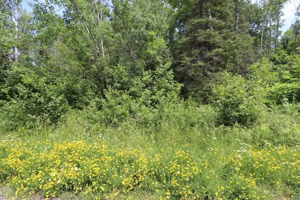 Photo 3 of Land for sale at Lot 2 Campbell Rd Rd, Herbster, WI 54844 | MLS# 6126723 | Listing updated on 2026-09-09