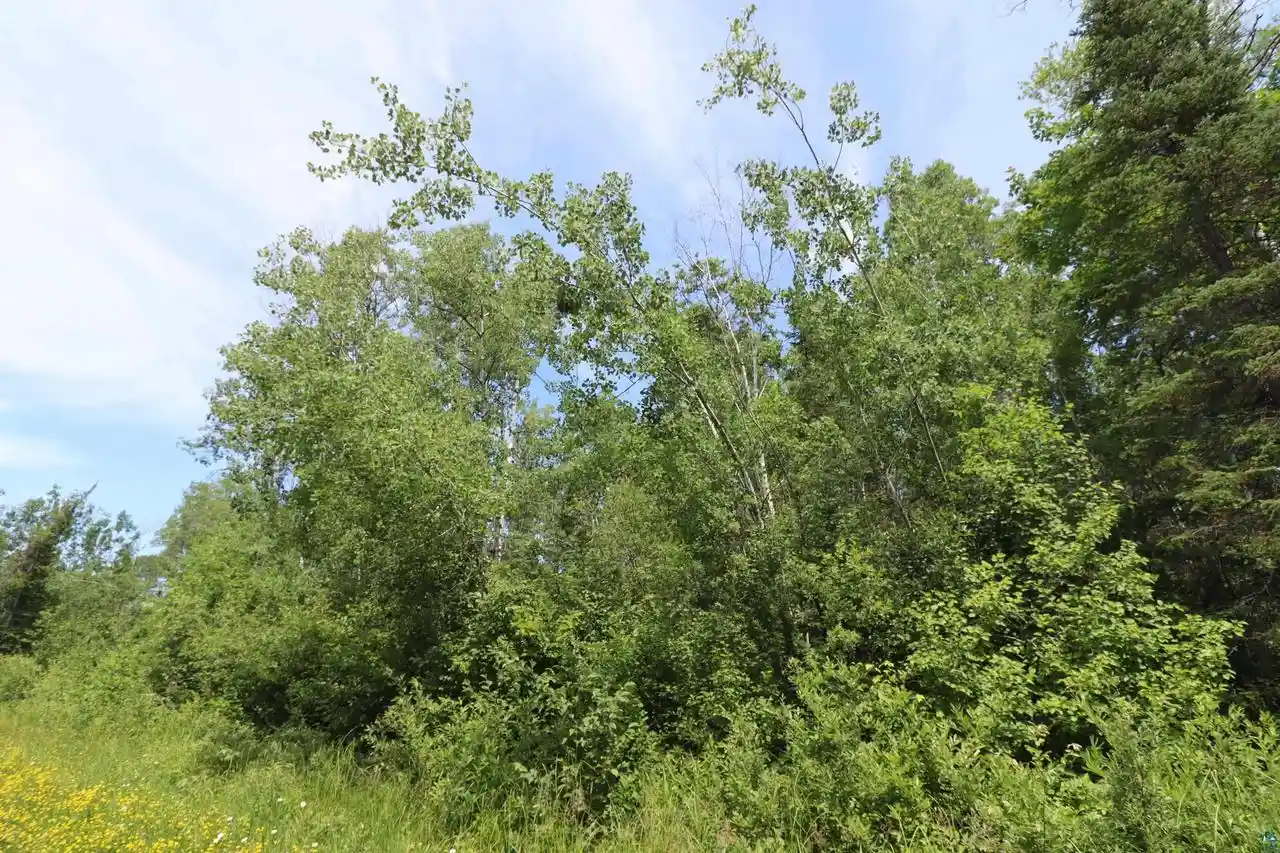 Photo 4 of Land for sale at Lot 2 Campbell Rd Rd, Herbster, WI 54844 | MLS# 6126723 | Listing updated on 2026-09-09