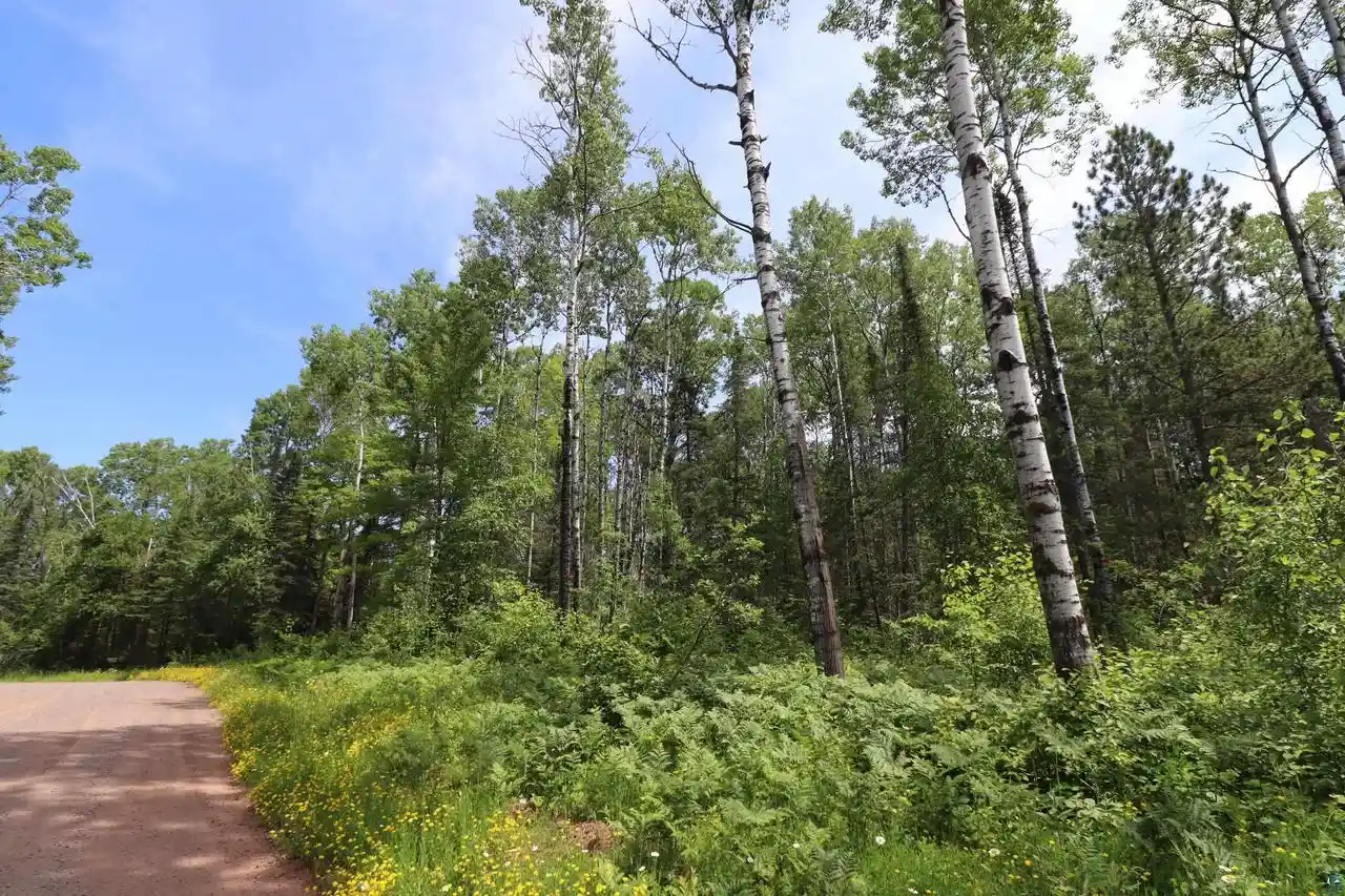 2nd image of Lot 1 Campbell Rd Rd, Herbster, WI 54844 | MLS# 6126726