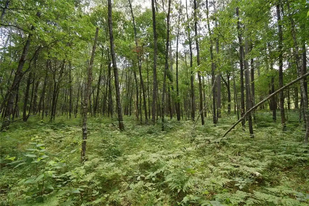 3rd image of Lot 2 Saylors Lane Lane, Siren, WI 54872 | MLS# 1603029