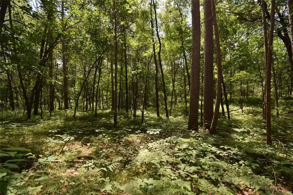 4th image of Lot 2 Saylors Lane Lane, Siren, WI 54872 | MLS# 1603029