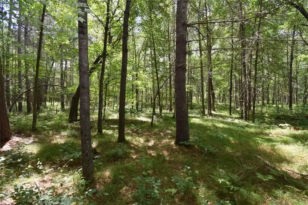 14th image of Lot 2 Saylors Lane Lane, Siren, WI 54872 | MLS# 1603029