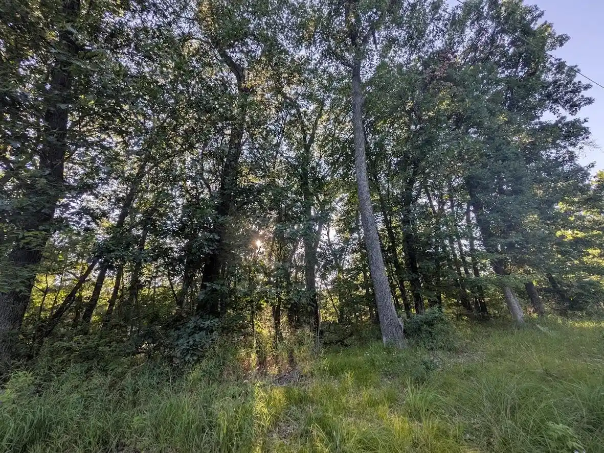 1st image of 0 6th Avenue Avenue, Grand Marsh, WI 53936 | MLS# 2027975