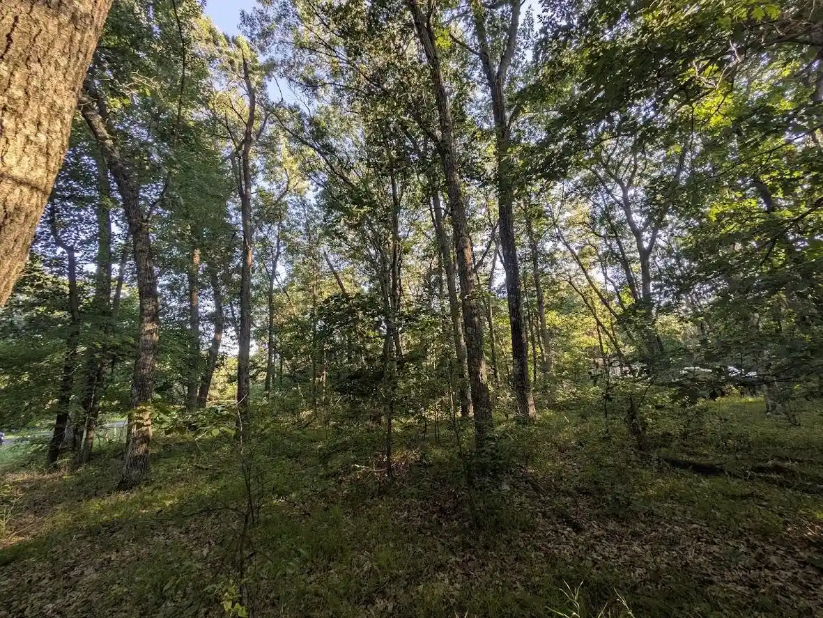 2nd image of 0 6th Avenue Avenue, Grand Marsh, WI 53936 | MLS# 2027975