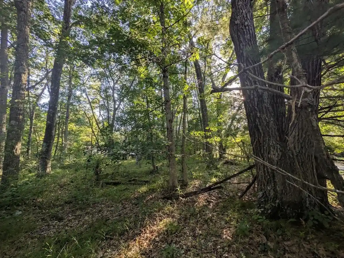 3rd image of 0 6Th Avenue Avenue, Grand Marsh, WI 53936 | MLS# 2027975