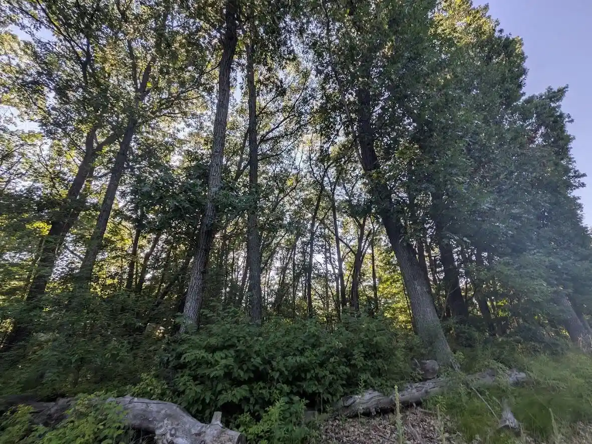 5th image of 0 6Th Avenue Avenue, Grand Marsh, WI 53936 | MLS# 2027975