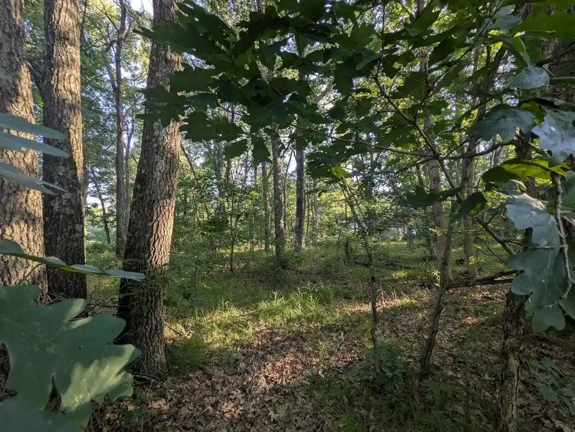 8th image of 0 6th Avenue Avenue, Grand Marsh, WI 53936 | MLS# 2027975