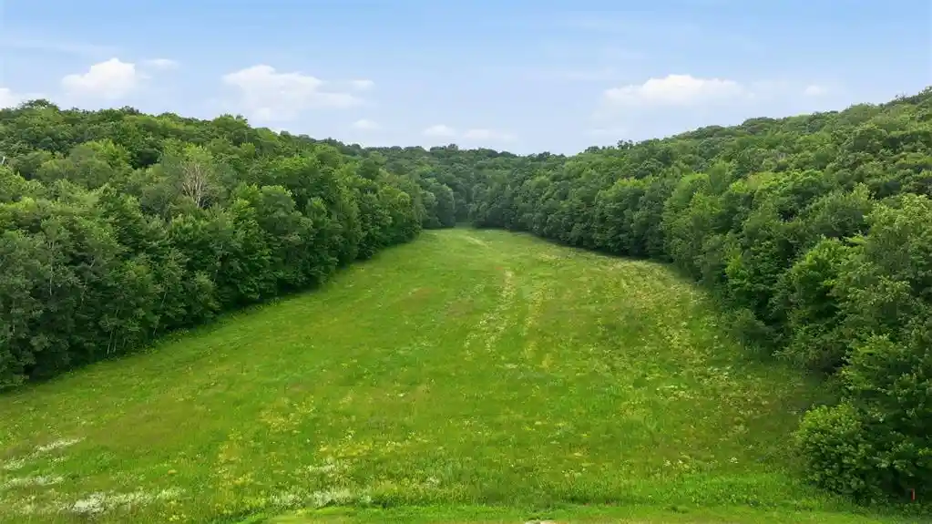 1st image of 40 Acres County Road S, Wheeler, WI 54772 | MLS# 1603118