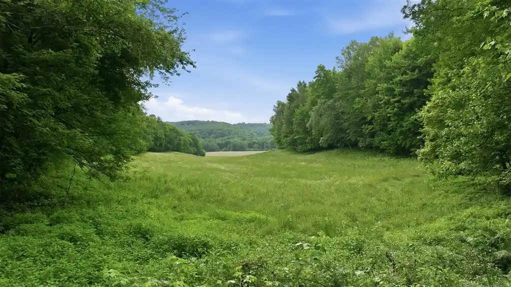 2nd image of 40 Acres County Road S, Wheeler, WI 54772 | MLS# 1603118