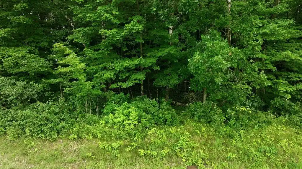3rd image of 40 Acres County Road S, Wheeler, WI 54772 | MLS# 1603118