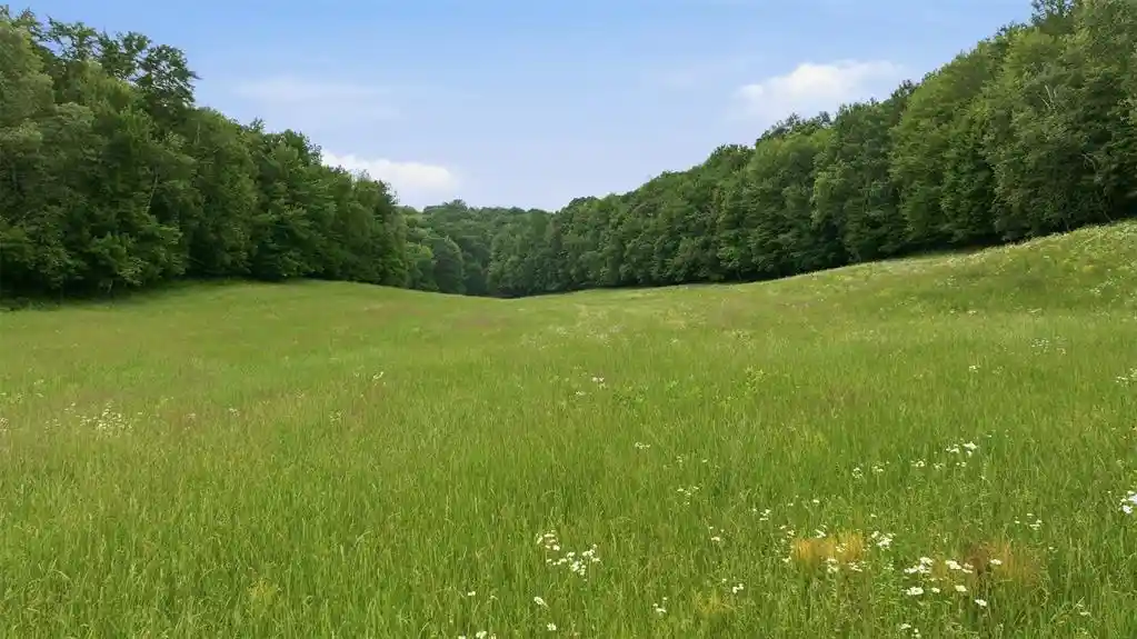 22nd image of 40 Acres County Road S, Wheeler, WI 54772 | MLS# 1603118