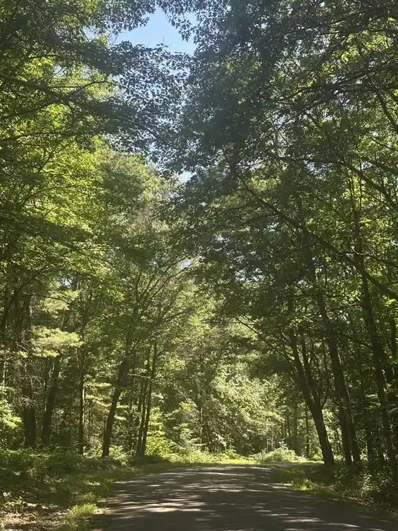 1st image of Lot 4 271st Street Street, Holcombe, WI 54745 | MLS# 1603205