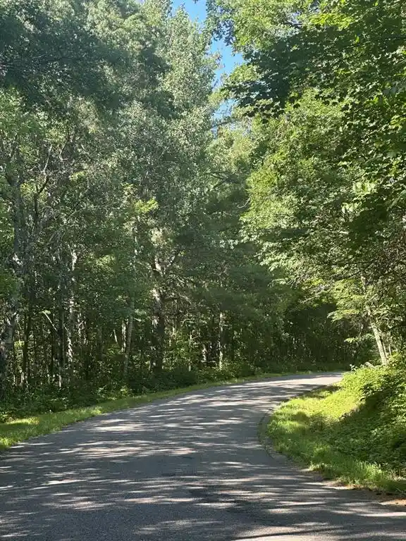 2nd image of Lot 1 271st Street Street, Holcombe, WI 54745 | MLS# 1603195