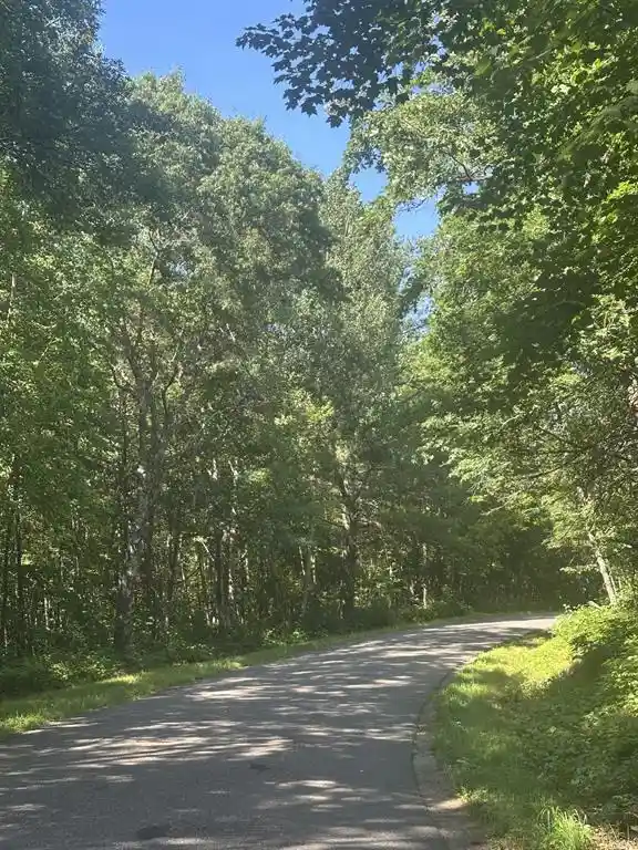 7th image of Lot 3 271st Street Street, Holcombe, WI 54745 | MLS# 1603202