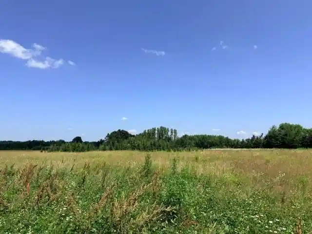 2nd image of Lot 2 Tomato Road Road, Ringle, WI 54471 | MLS# 22603276