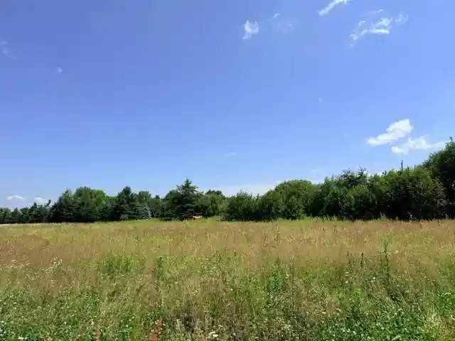 10th image of Lot 2 Tomato Road Road, Ringle, WI 54471 | MLS# 22603276