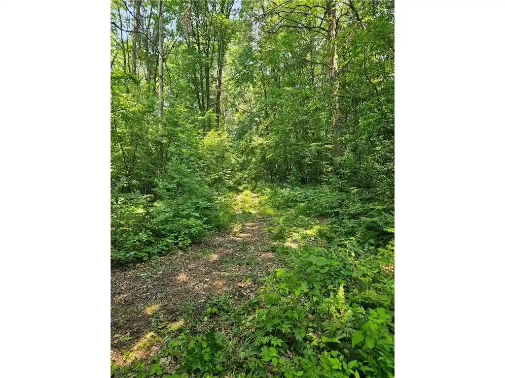 1st image of 49 Acres 16th Avenue Avenue, Cameron, WI 54822 | MLS# 7108829