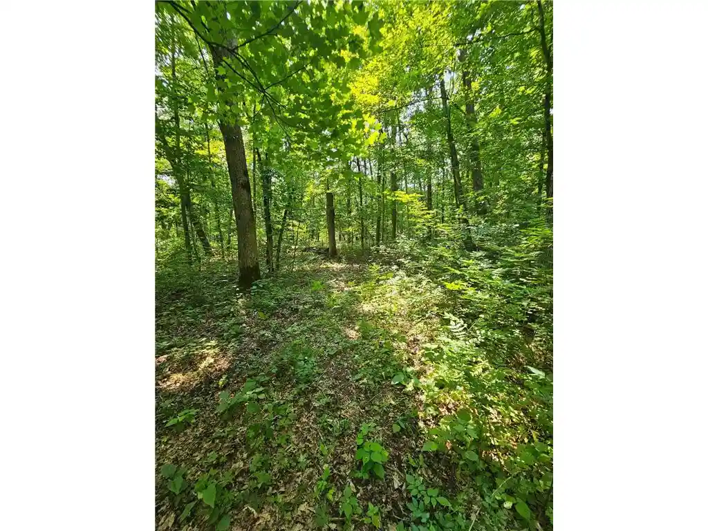 2nd image of 49 Acres 16th Avenue Avenue, Cameron, WI 54822 | MLS# 7108829