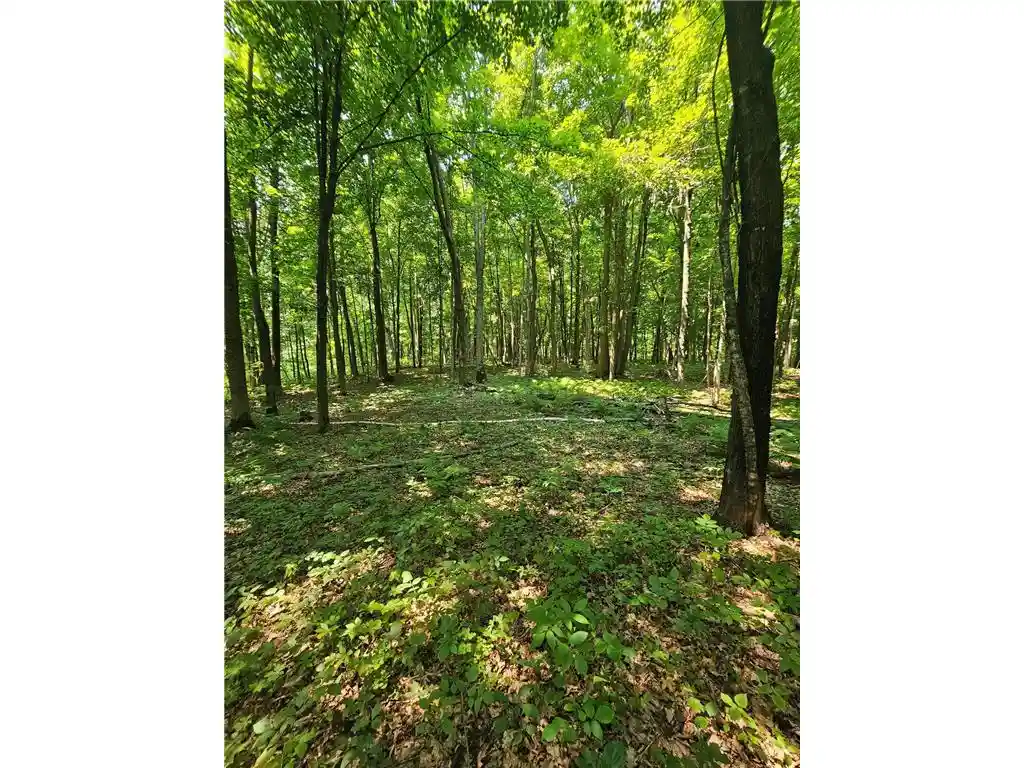 3rd image of 49 Acres 16Th Avenue Avenue, Cameron, WI 54822 | MLS# 7108829