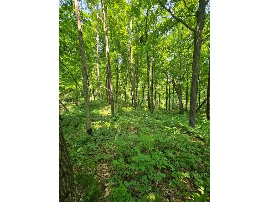 4th image of 49 Acres 16Th Avenue Avenue, Cameron, WI 54822 | MLS# 7108829