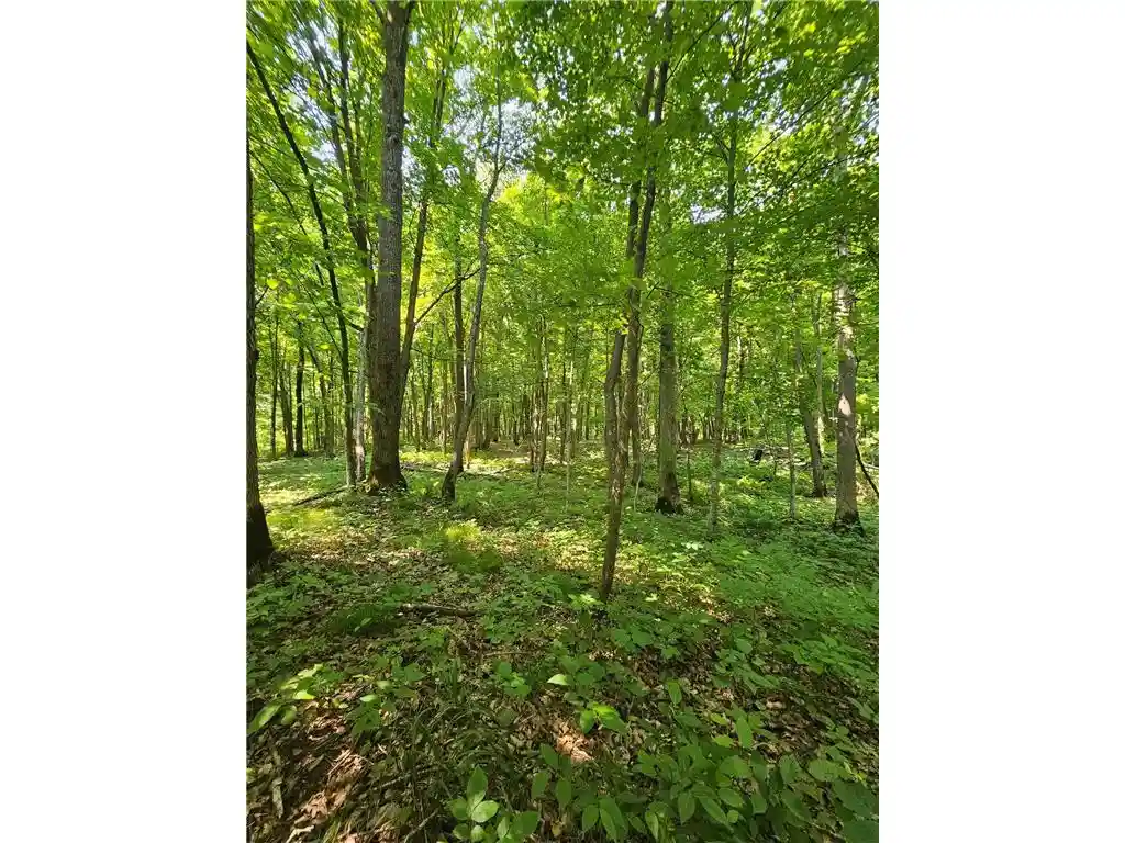 5th image of 49 Acres 16Th Avenue Avenue, Cameron, WI 54822 | MLS# 7108829