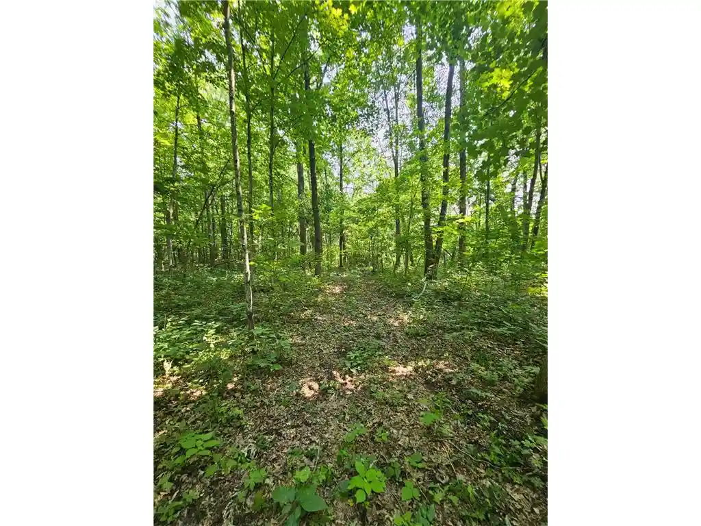 24th image of 49 Acres 16th Avenue Avenue, Cameron, WI 54822 | MLS# 7108829