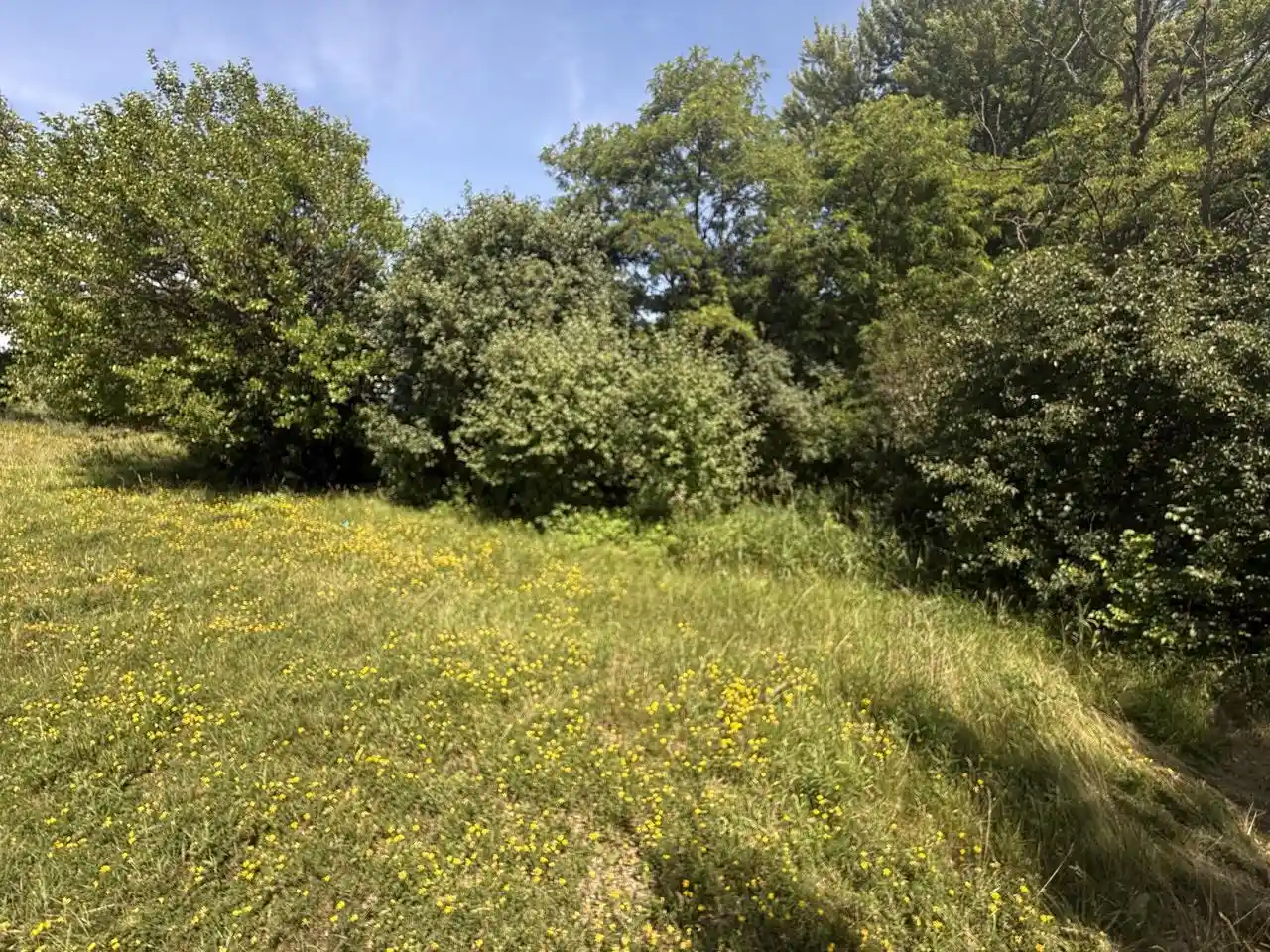 2nd image of 2530 W Waukau Avenue Avenue, Oshkosh, WI 54904 | MLS# 1971606