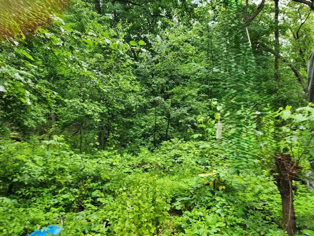 4th image of 2984 5Th Lane Lane, Grand Marsh, WI 53936 | MLS# 22603283
