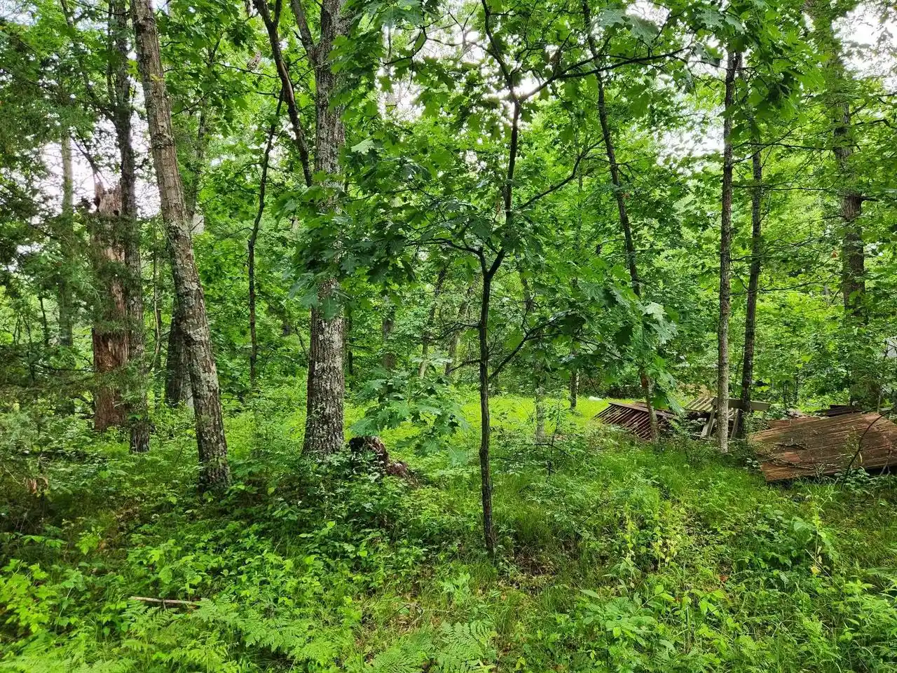 5th image of 2984 5Th Lane Lane, Grand Marsh, WI 53936 | MLS# 22603283