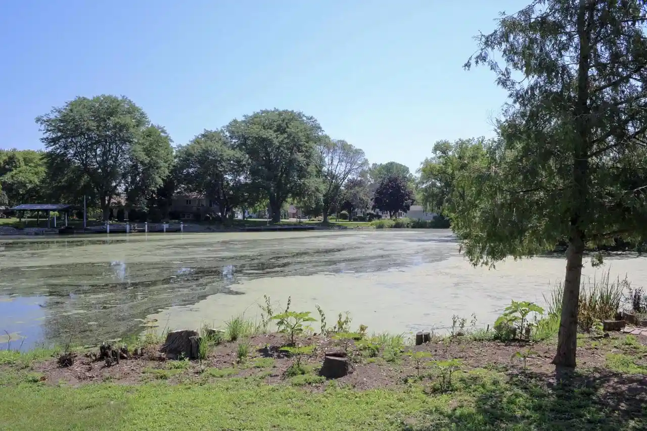 Photo 3 of Land for sale at 165 Washington Street Street, Winneconne, WI 54986 | MLS# 50329090 | Listing updated on 2026-09-11