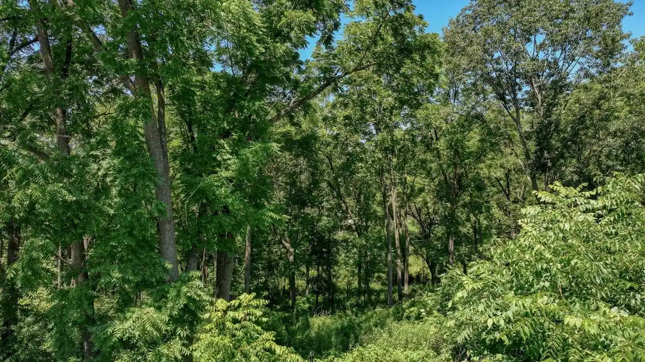 2nd image of 00 Garves Coulee Road Road, Bangor, WI 54614 | MLS# 1971671
