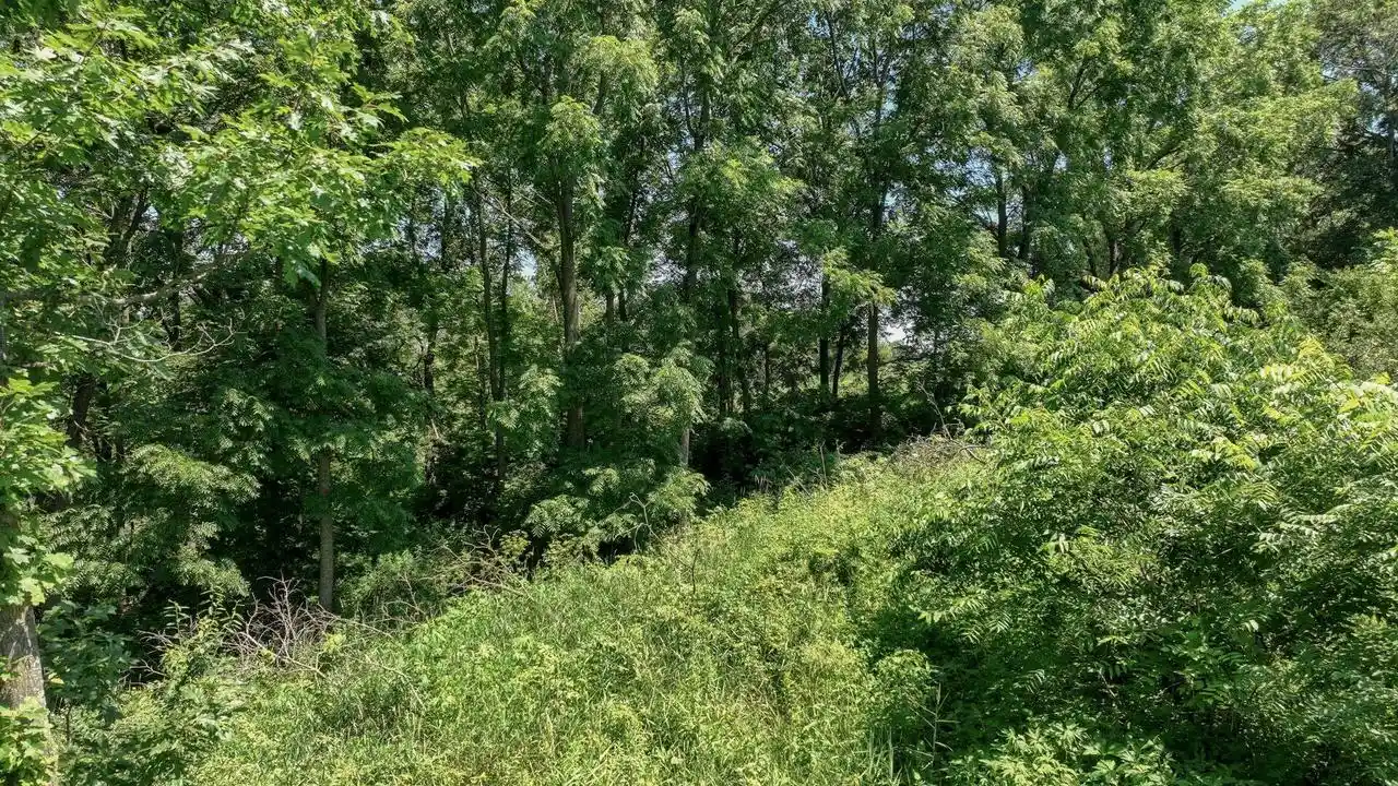 3rd image of 00 Garves Coulee Road Road, Bangor, WI 54614 | MLS# 1971671