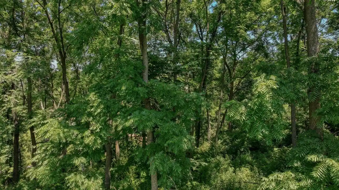 4th image of 00 Garves Coulee Road Road, Bangor, WI 54614 | MLS# 1971671