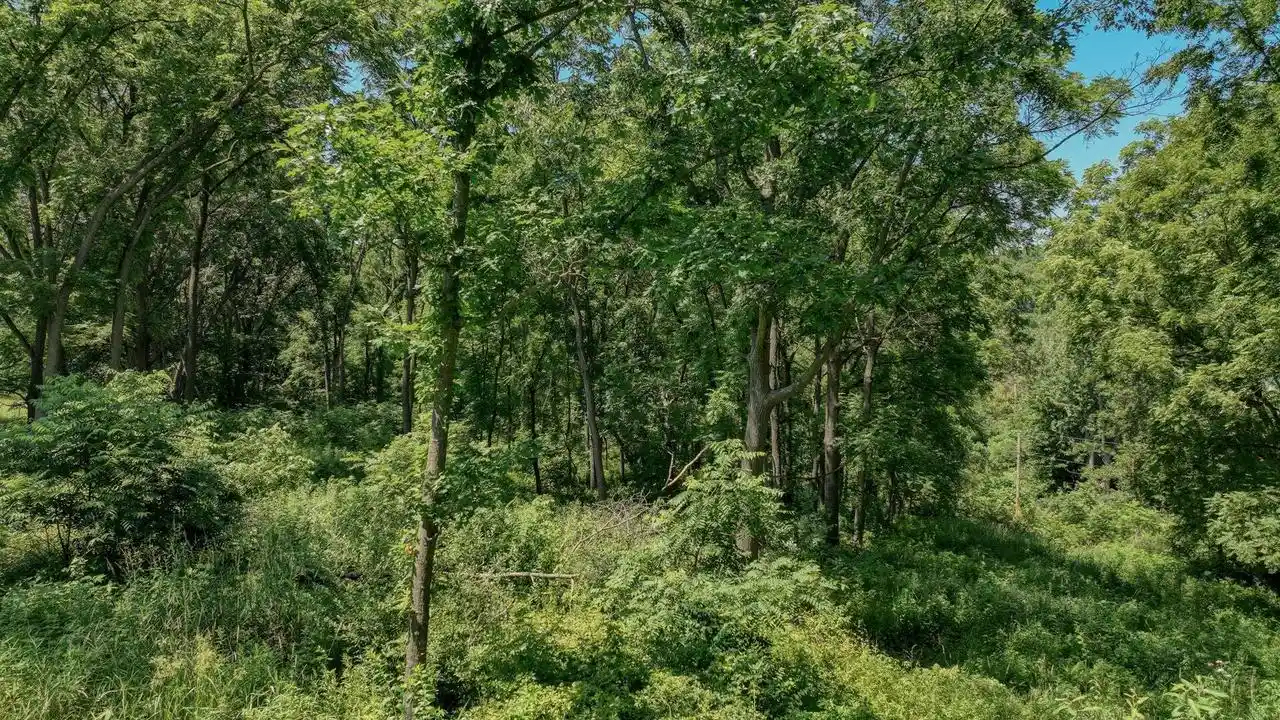 5th image of 00 Garves Coulee Road Road, Bangor, WI 54614 | MLS# 1971671