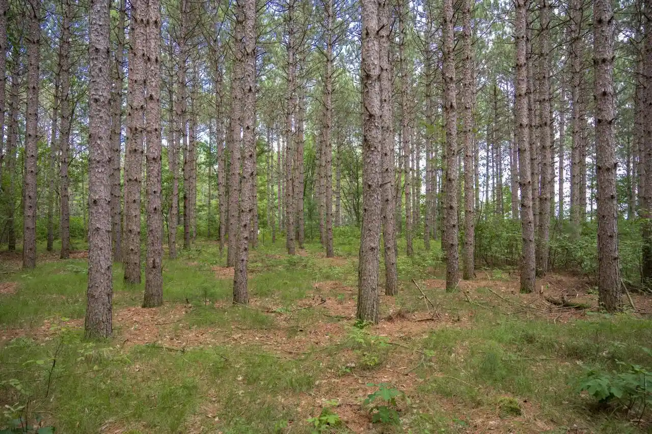 Homes for sale in Necedah, WI | Lot 10 County Road G, Necedah, WI 54646 | MLS# 2028106