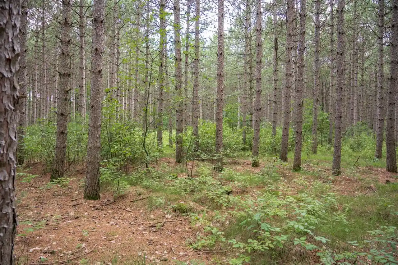 Homes for sale in Necedah, WI | Lot 10 County Road G, Necedah, WI 54646 | MLS# 2028106