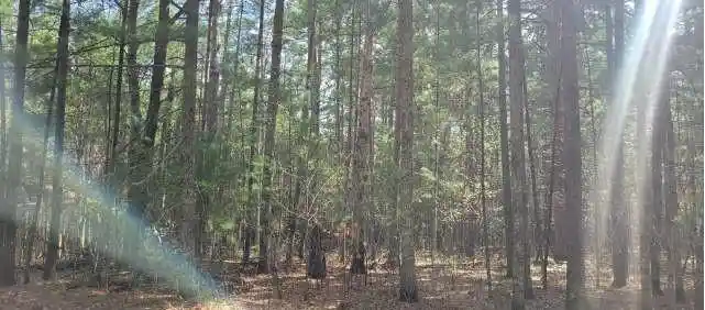 2nd image of Xxx Normans Landing Rd, Webster, WI 54893 | MLS# 1603277