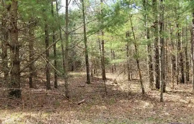 4th image of Xxx Normans Landing Rd, Webster, WI 54893 | MLS# 1603277