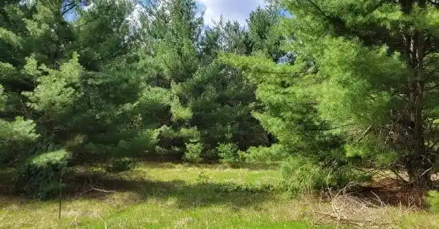5th image of Xxx Normans Landing Rd, Webster, WI 54893 | MLS# 1603277