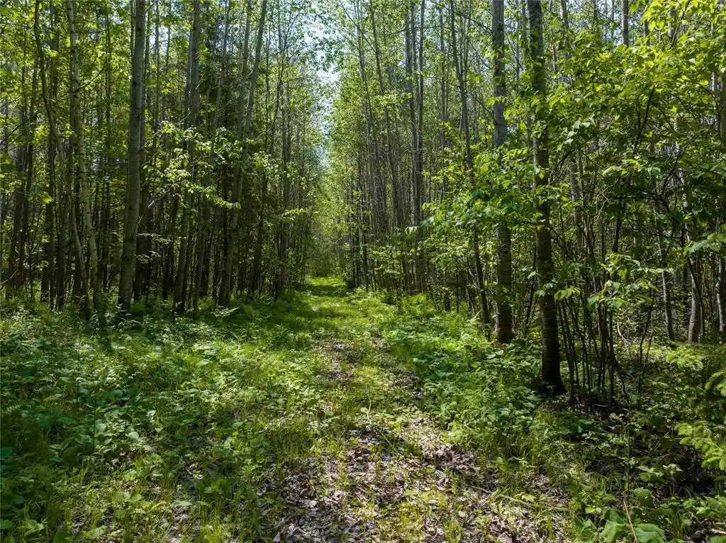 Photo 1 of Land for sale at 14195 & 14199 County Hwy M, Cable, WI 54821 | MLS# 1603280 | Listing updated on 2026-07-15