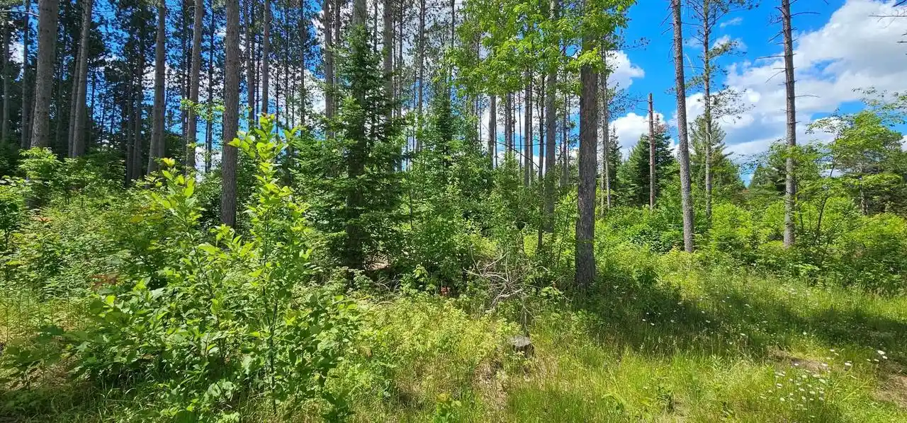Homes for sale in Monico, WI | Lot 3 Baade Road Road, Monico, WI 54501 | MLS# 22603313