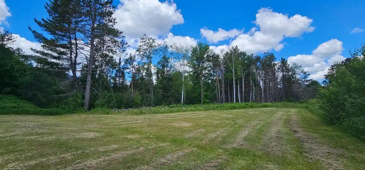 Homes for sale in Monico, WI | Lot 4 Baade Road Road, Monico, WI 54501 | MLS# 22603315