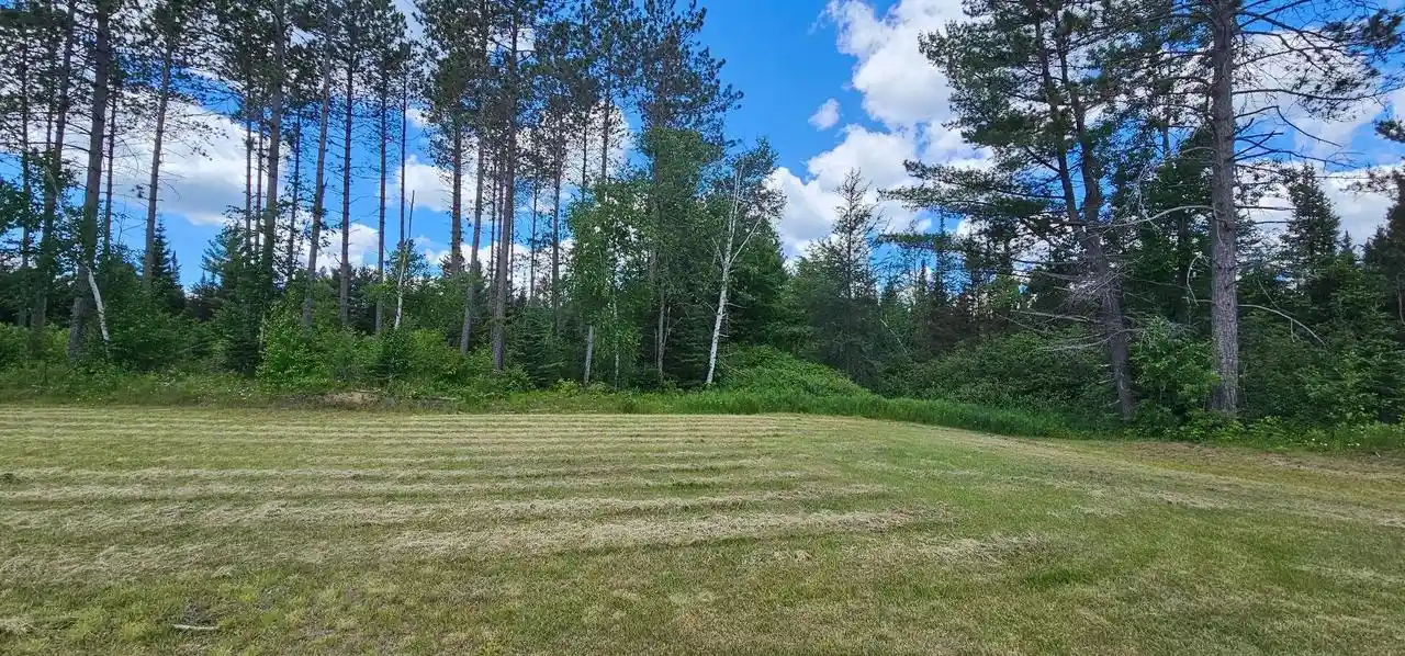Homes for sale in Monico, WI | Lot 4 Baade Road Road, Monico, WI 54501 | MLS# 22603315