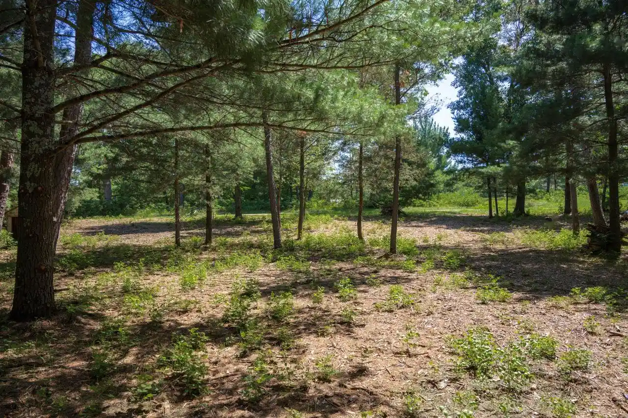 2nd image of 2029 French Street Street, Friendship, WI 53934 | MLS# 2028139